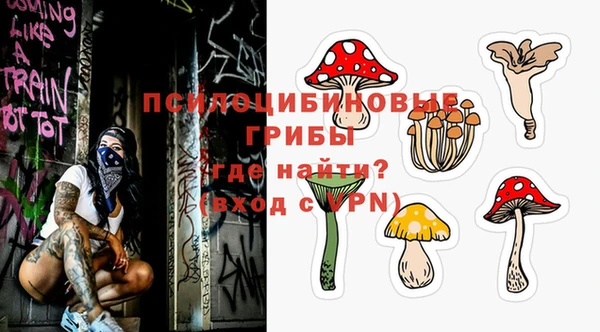 первитин Алексин